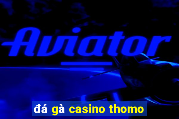 đá gà casino thomo