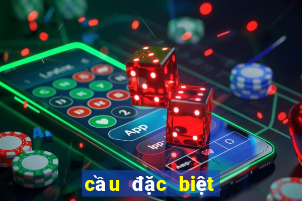 cầu đặc biệt bình dương