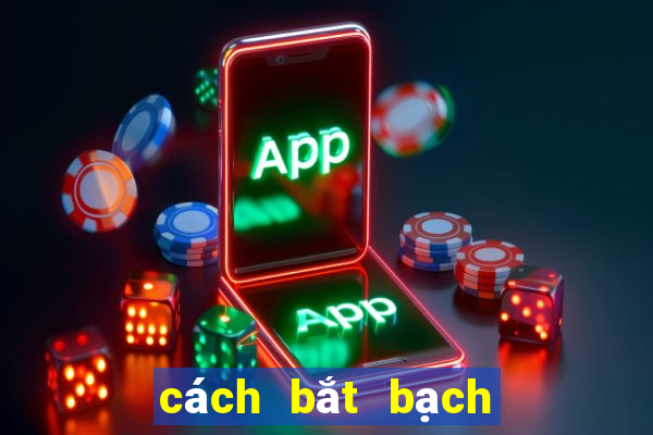 cách bắt bạch thủ lô khung 5 ngày