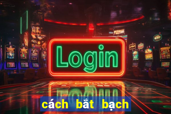 cách bắt bạch thủ lô khung 5 ngày