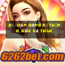 Dự đoán bóng rổ thắng, hòa và thua