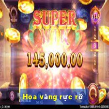 Hoa vàng rực rỡ