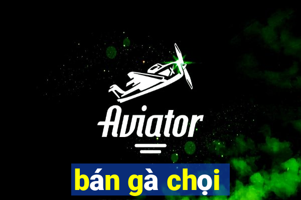 bán gà chọi