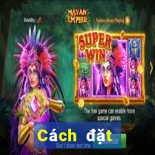 Cách đặt cược XSLD ngày 27