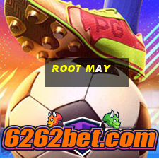 root máy