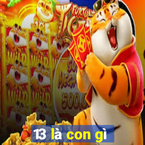 13 là con gì