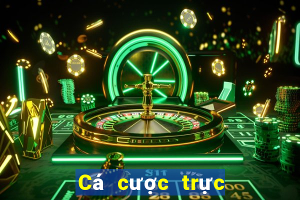 Cá cược trực tuyến Stake