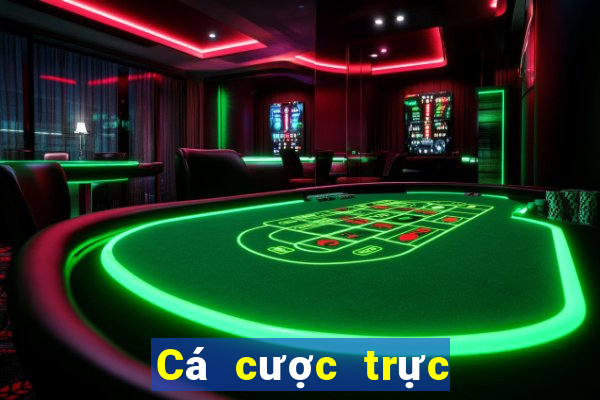 Cá cược trực tuyến Stake