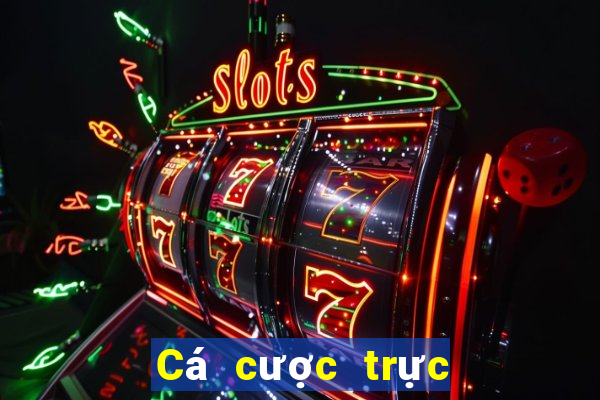 Cá cược trực tuyến Stake