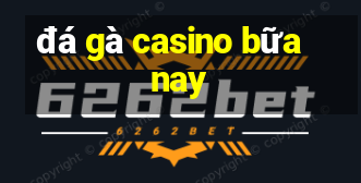 đá gà casino bữa nay