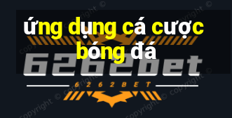 ứng dụng cá cược bóng đá