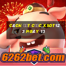 Cách đặt cược XSDT123 ngày 13