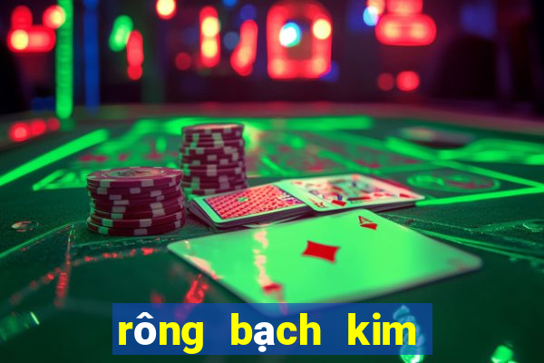 rong bach kim thong ke