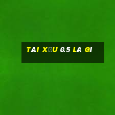 tài xỉu 0.5 là gì