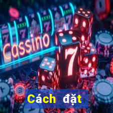 Cách đặt cược XSTV Chủ Nhật