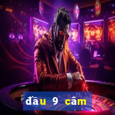 đầu 9 câm đánh con gì