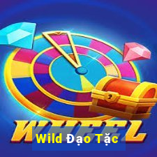 Wild Đạo Tặc