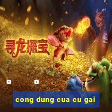 cong dung cua cu gai