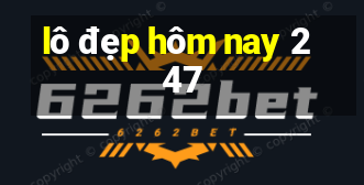 lô đẹp hôm nay 247