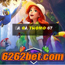 đá gà thomo 67