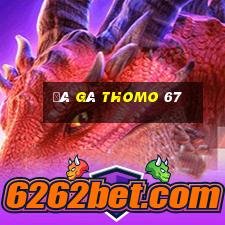 đá gà thomo 67