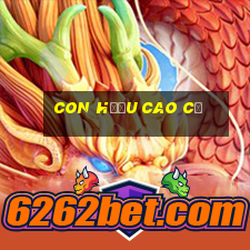 con hươu cao cổ