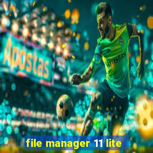 file manager 11 lite