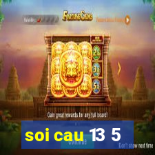 soi cau 13 5