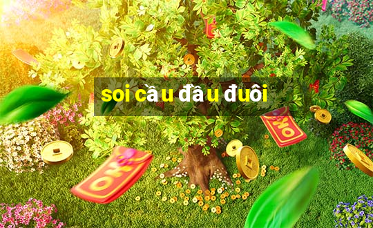 soi cầu đầu đuôi