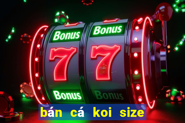 bán cá koi size nhỏ hà nội