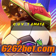 cầu vượt amata