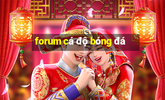 forum cá độ bóng đá