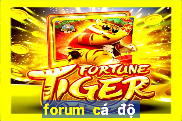 forum cá độ bóng đá