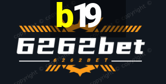 b19