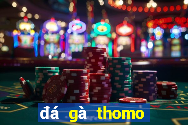 đá gà thomo hôm nay trận 23