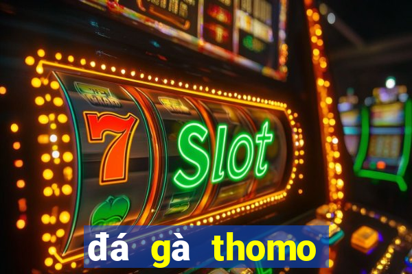 đá gà thomo hôm nay trận 23