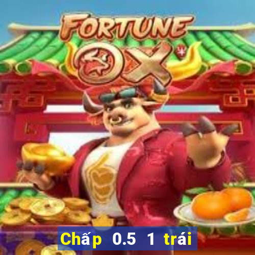 Chấp 0.5 1 trái là sao