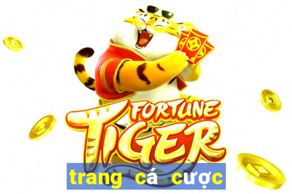 trang cá cược bóng đá adfp