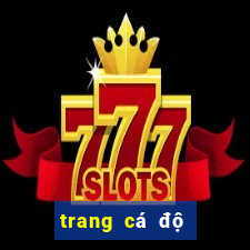 trang cá độ bóng đá xo88