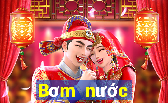 Bơm nước điện tử