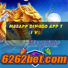 M88app Dingbo app Tải về