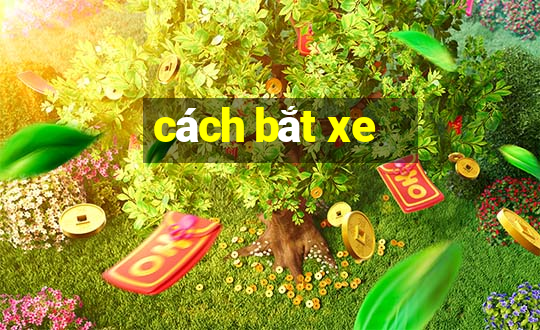 cách bắt xe