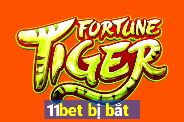 11bet bị bắt