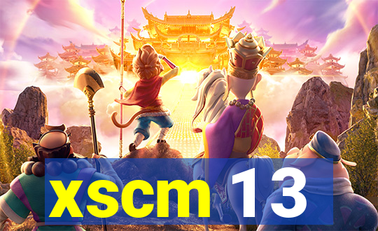 xscm 1 3