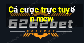 Cá cược trực tuyến mcw