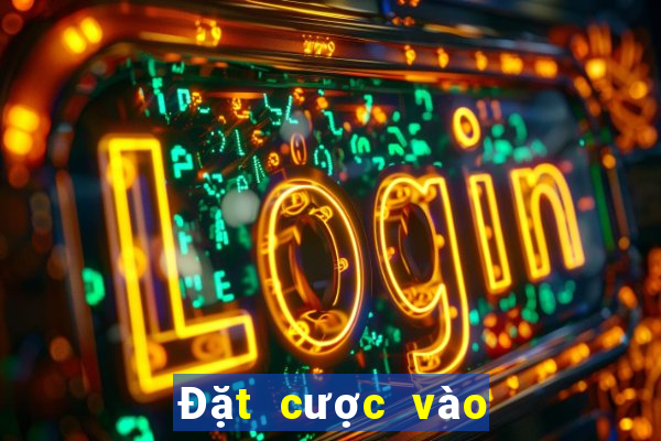 Đặt cược vào các sự kiện bóng rổ