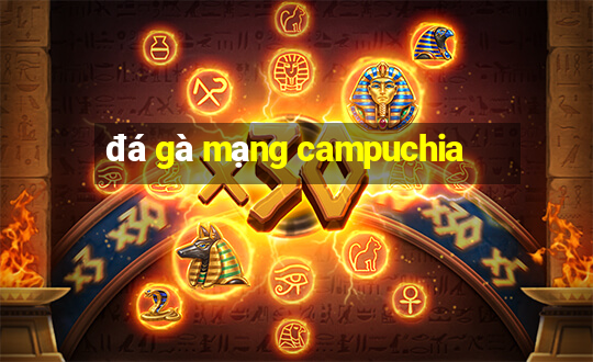 đá gà mạng campuchia