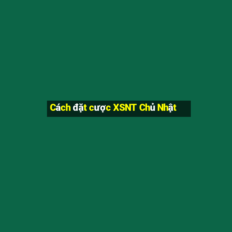 Cách đặt cược XSNT Chủ Nhật