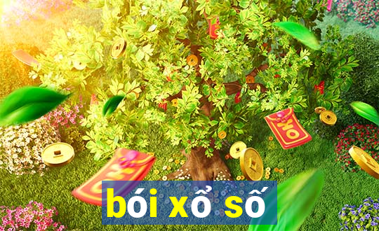 bói xổ số