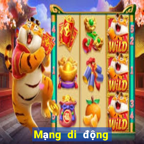 Mạng di động Venetian Việt nam